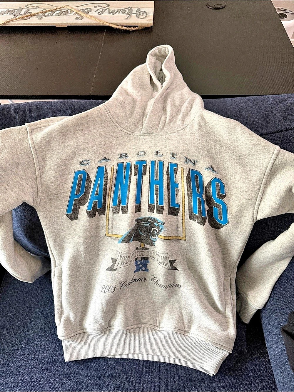 Abercrombie NFL Carolina Panthers Youth Hoodie Boys 11/12